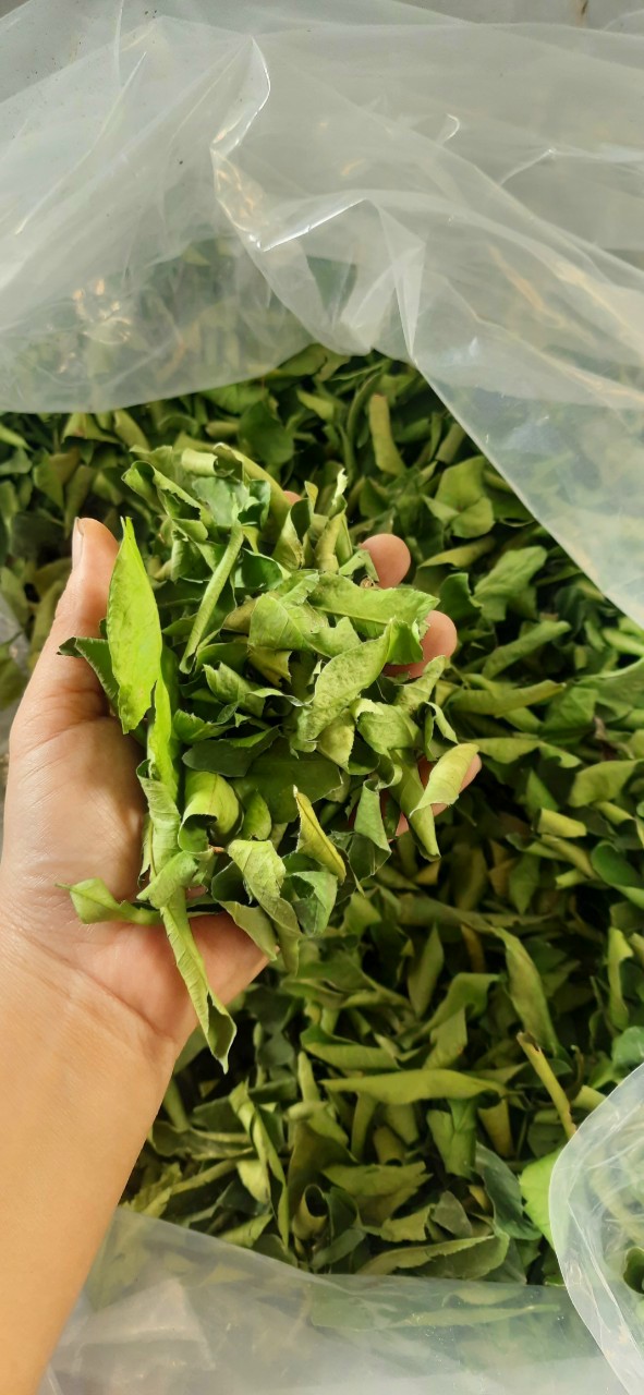 Makrut Lime Dried Leaves (Citrus hystrix)