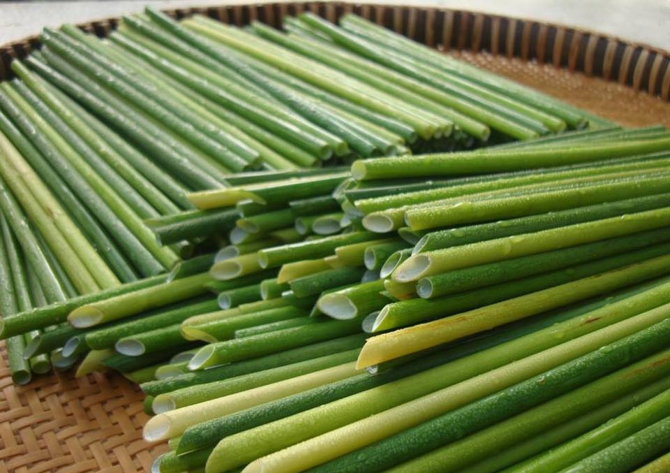 Seagrass Drink Straw