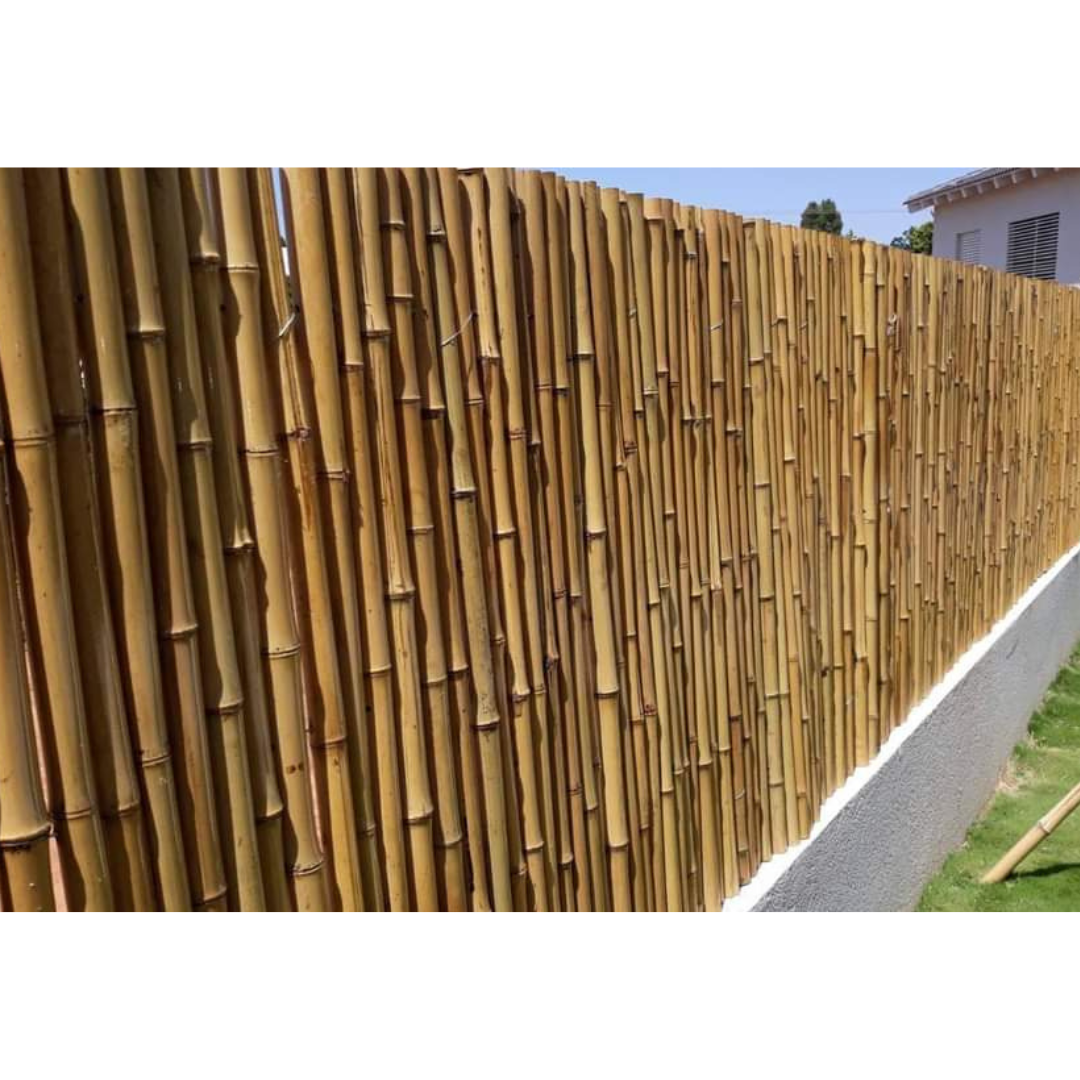 Bamboo Fences