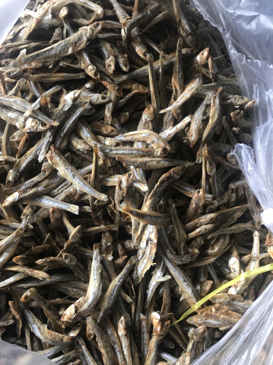 Dried Anchovy