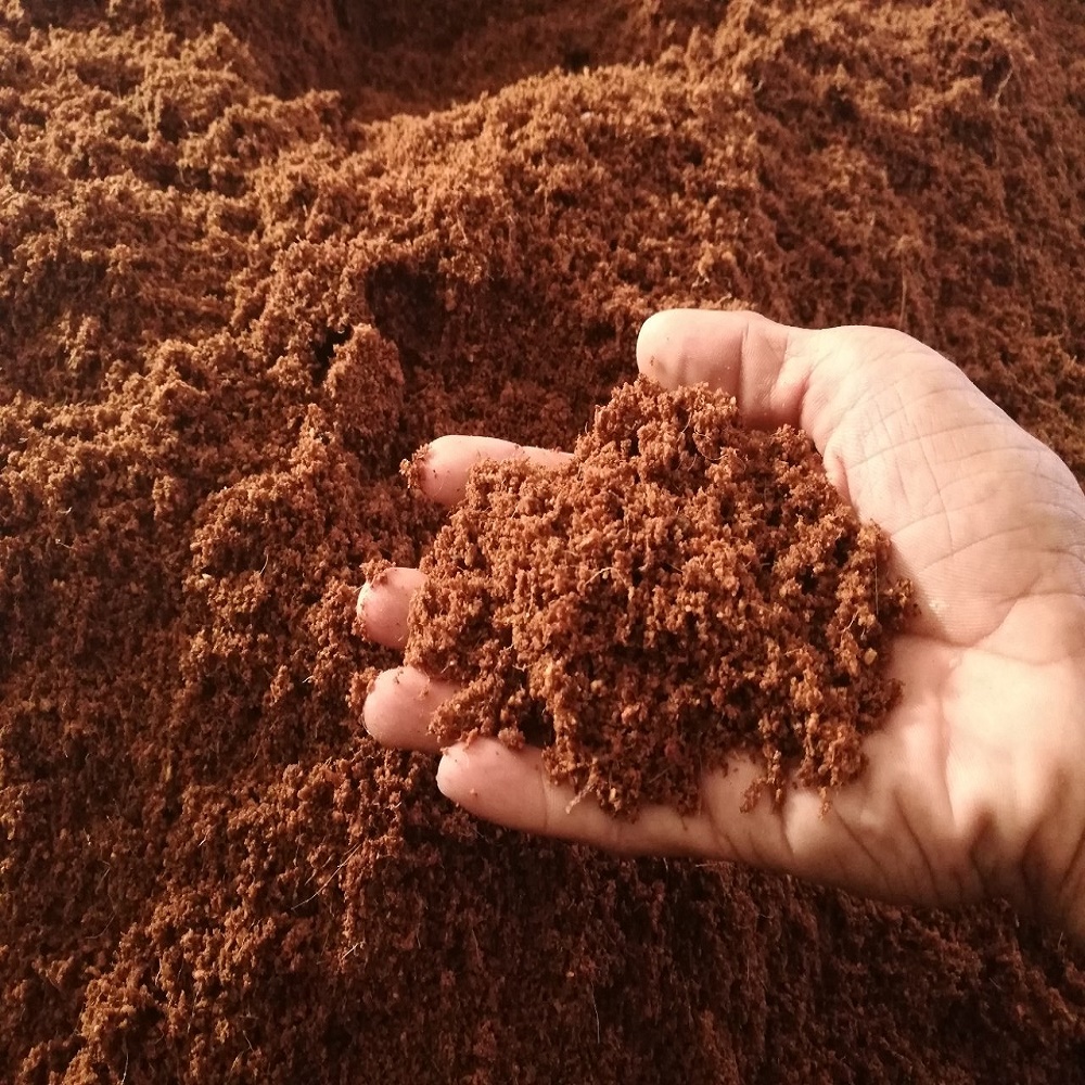 Coco Peat