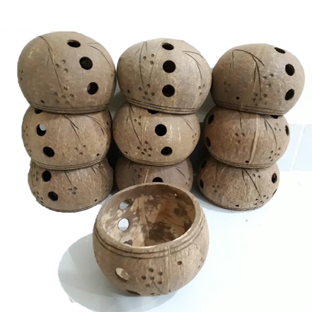 Coconut Shell Pot