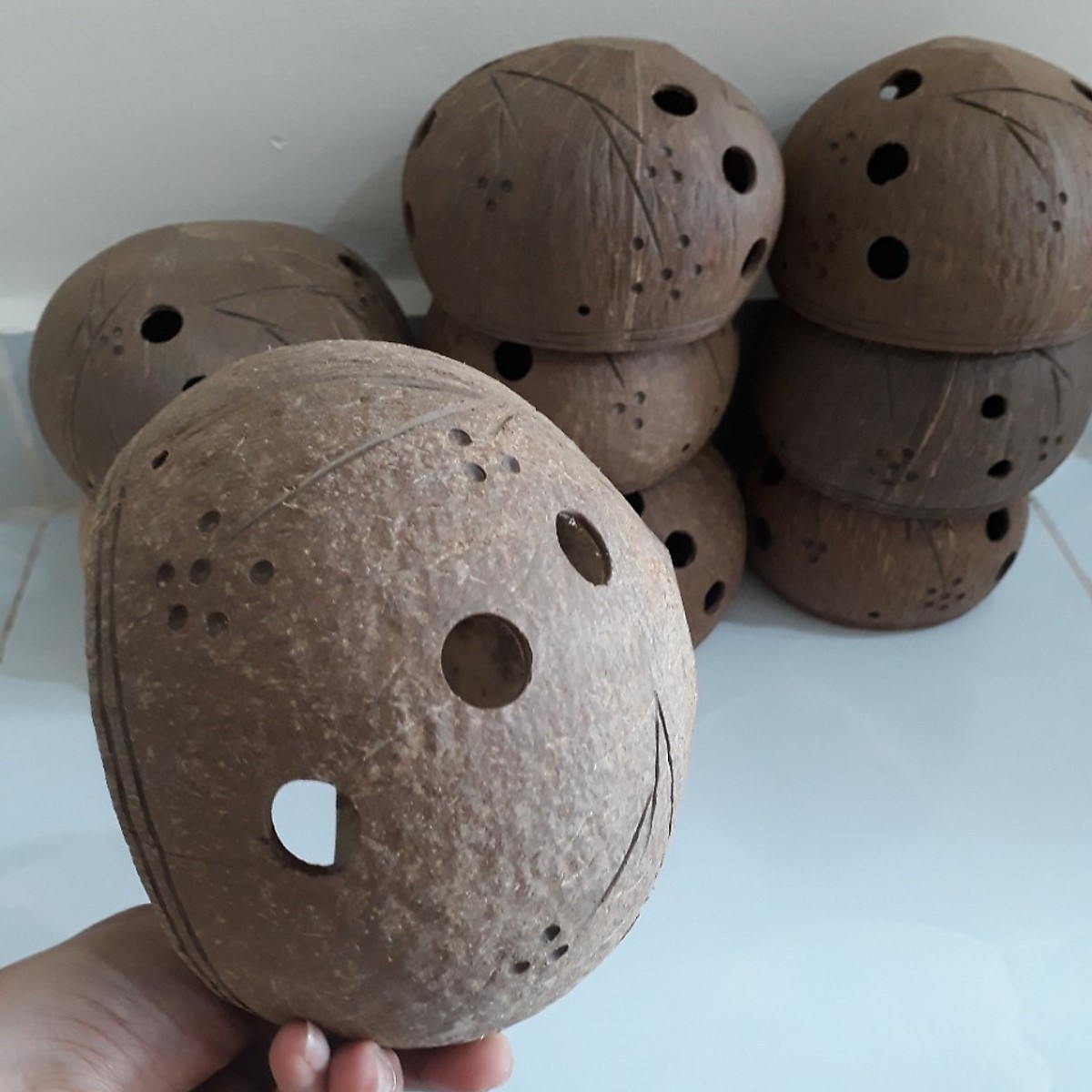 Coconut Shell Pot