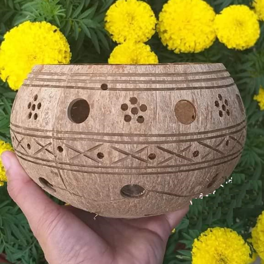 Coconut Shell Pot