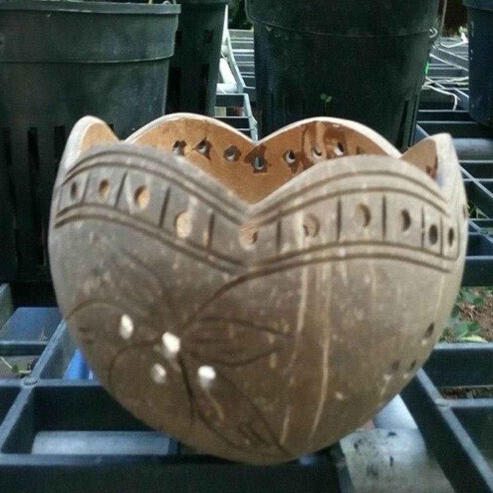 Coconut Shell Pot