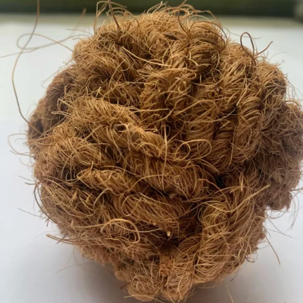  Coconut husk dog toys