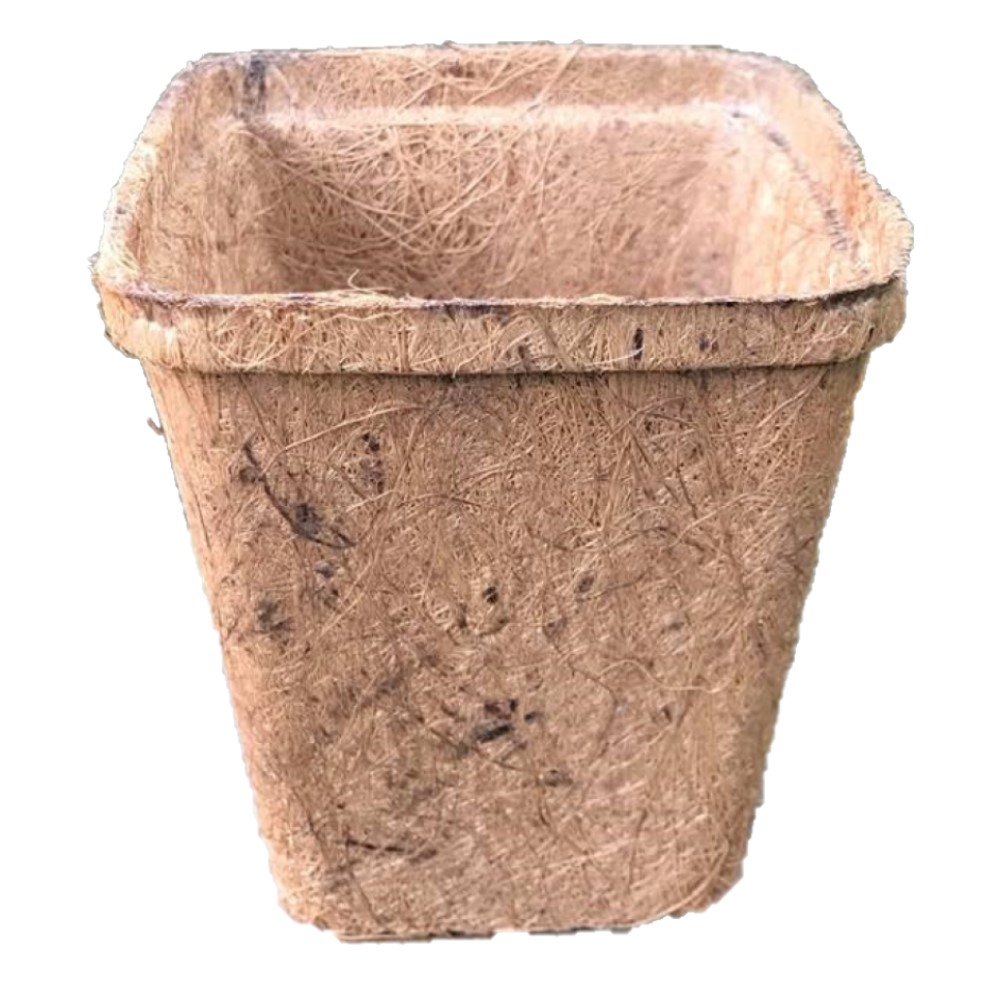 Coir Pot