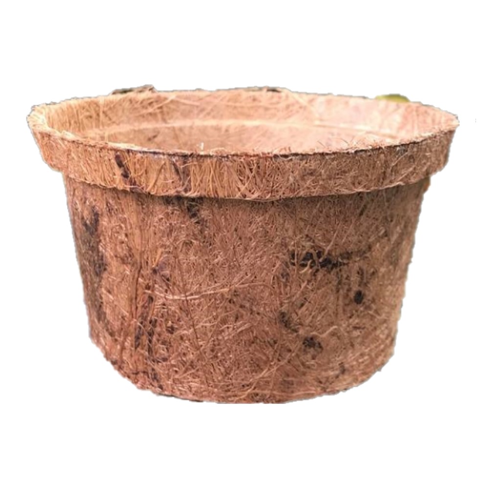 Coir Pot