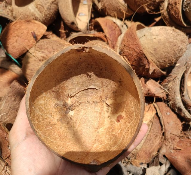 Coconut Raw Shell