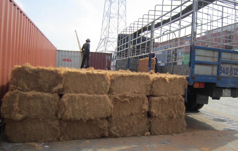 Coir Fiber