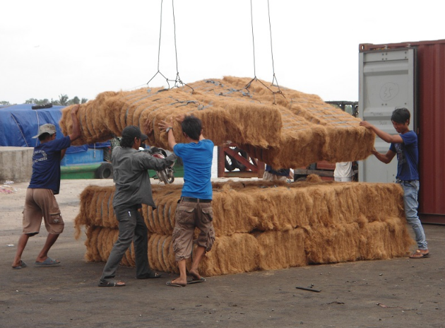 Coir Fiber