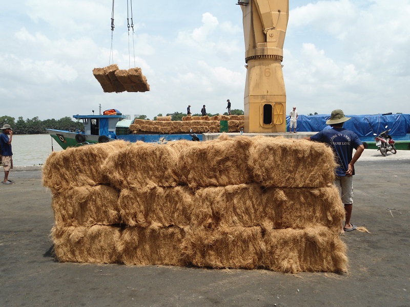 Coir Fiber