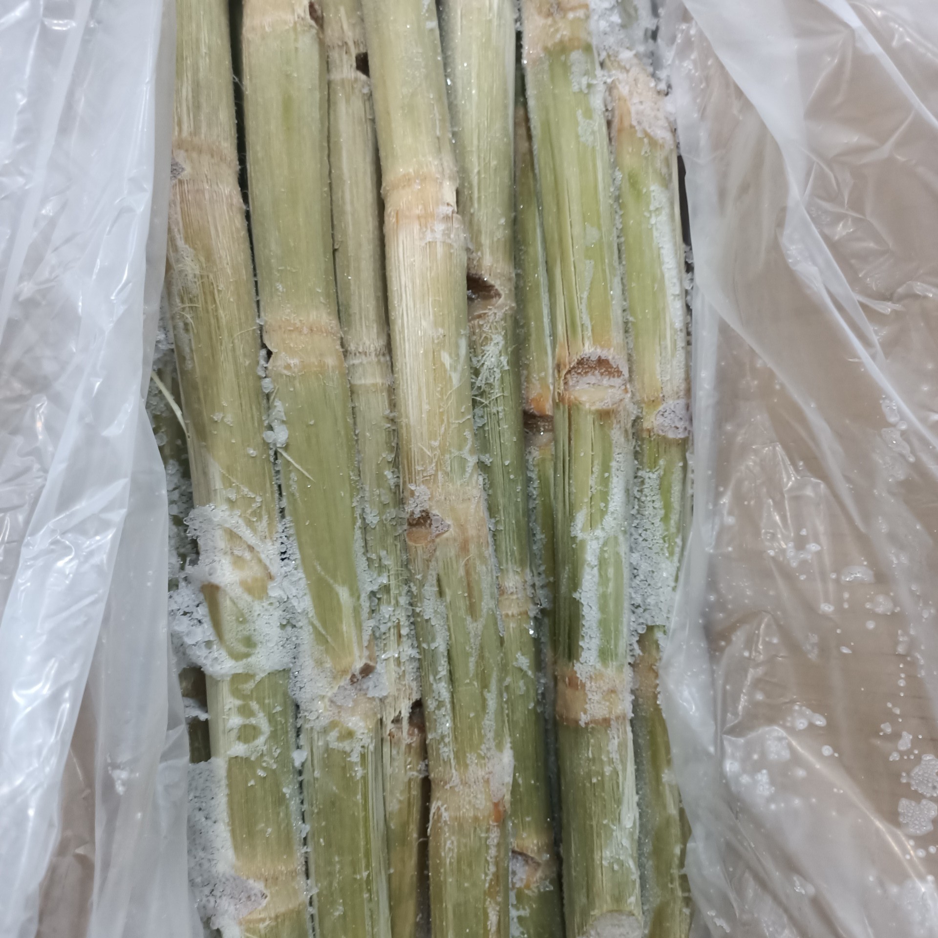 Frozen Sugarcane