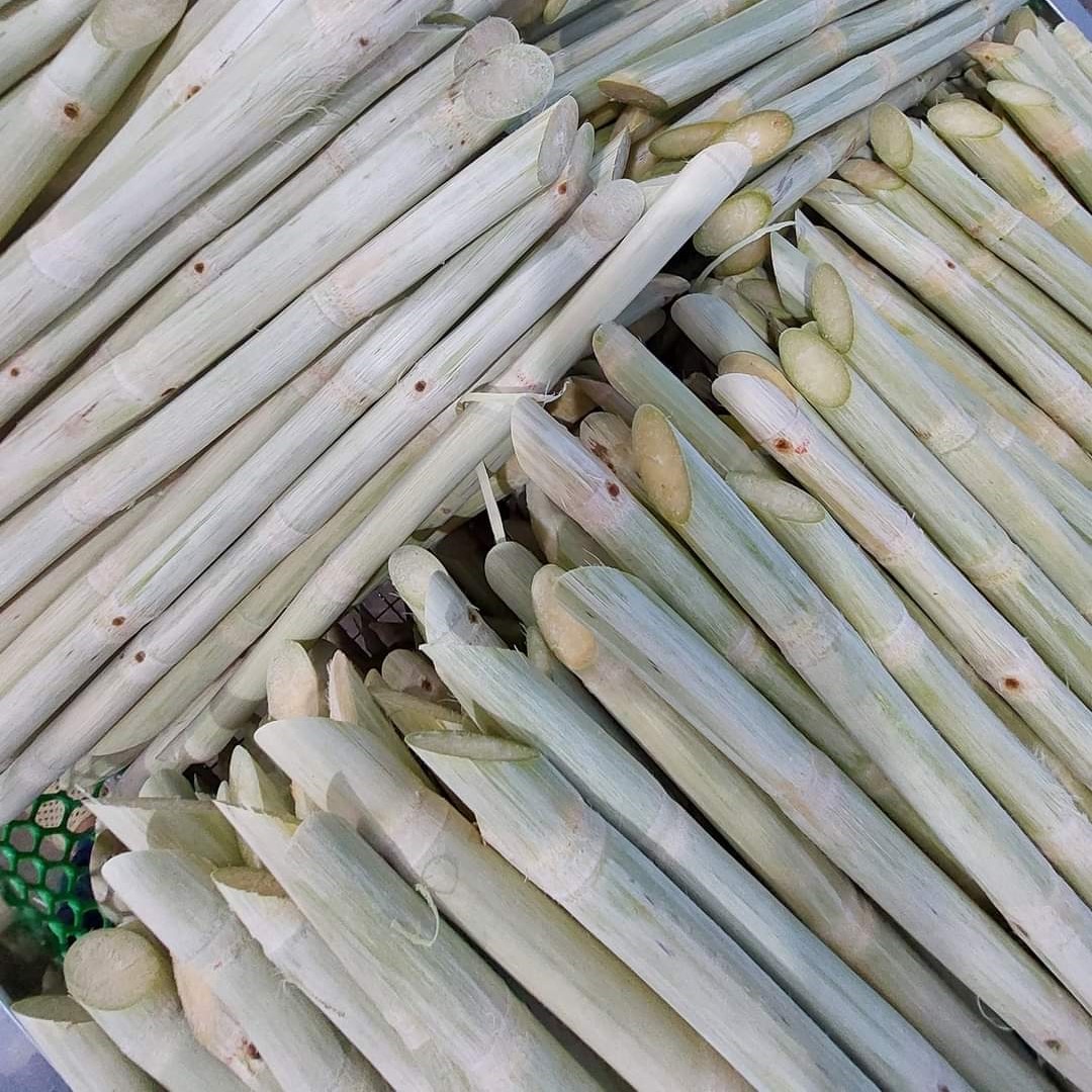 Frozen Sugarcane