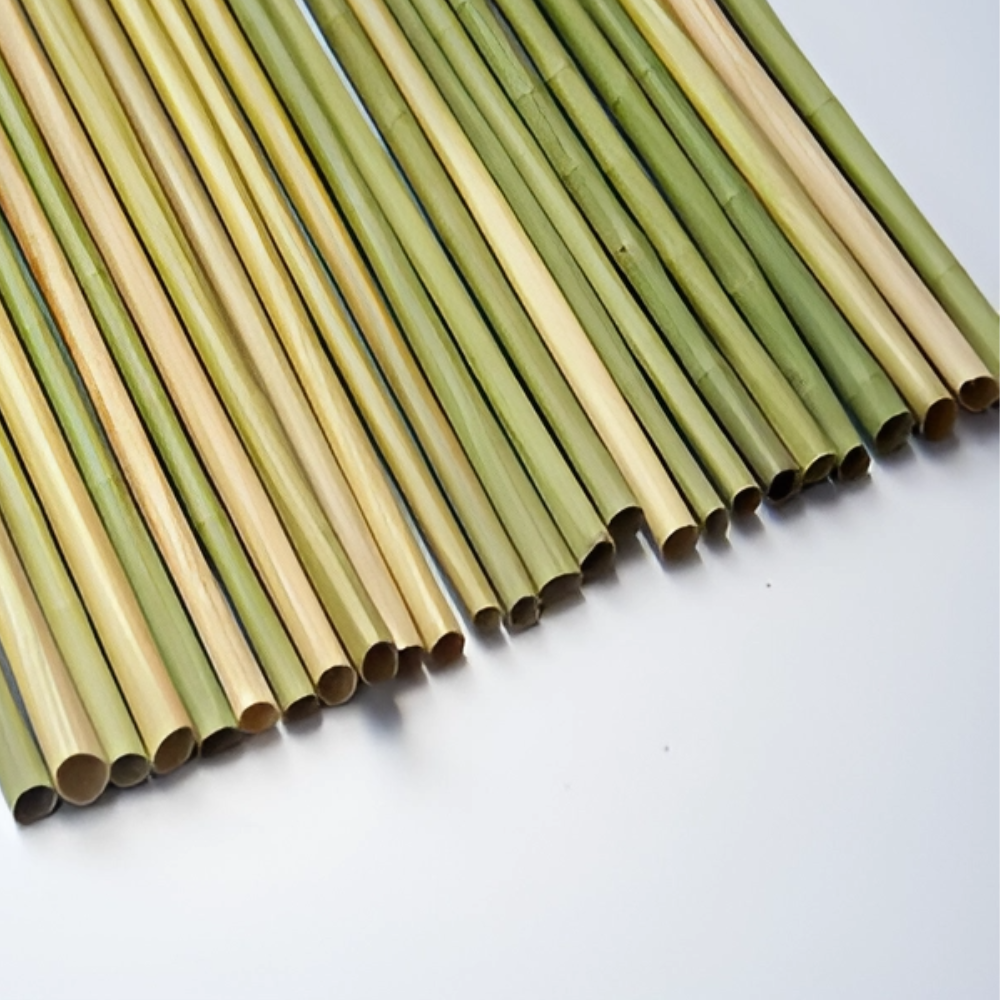 Seagrass Drink Straw