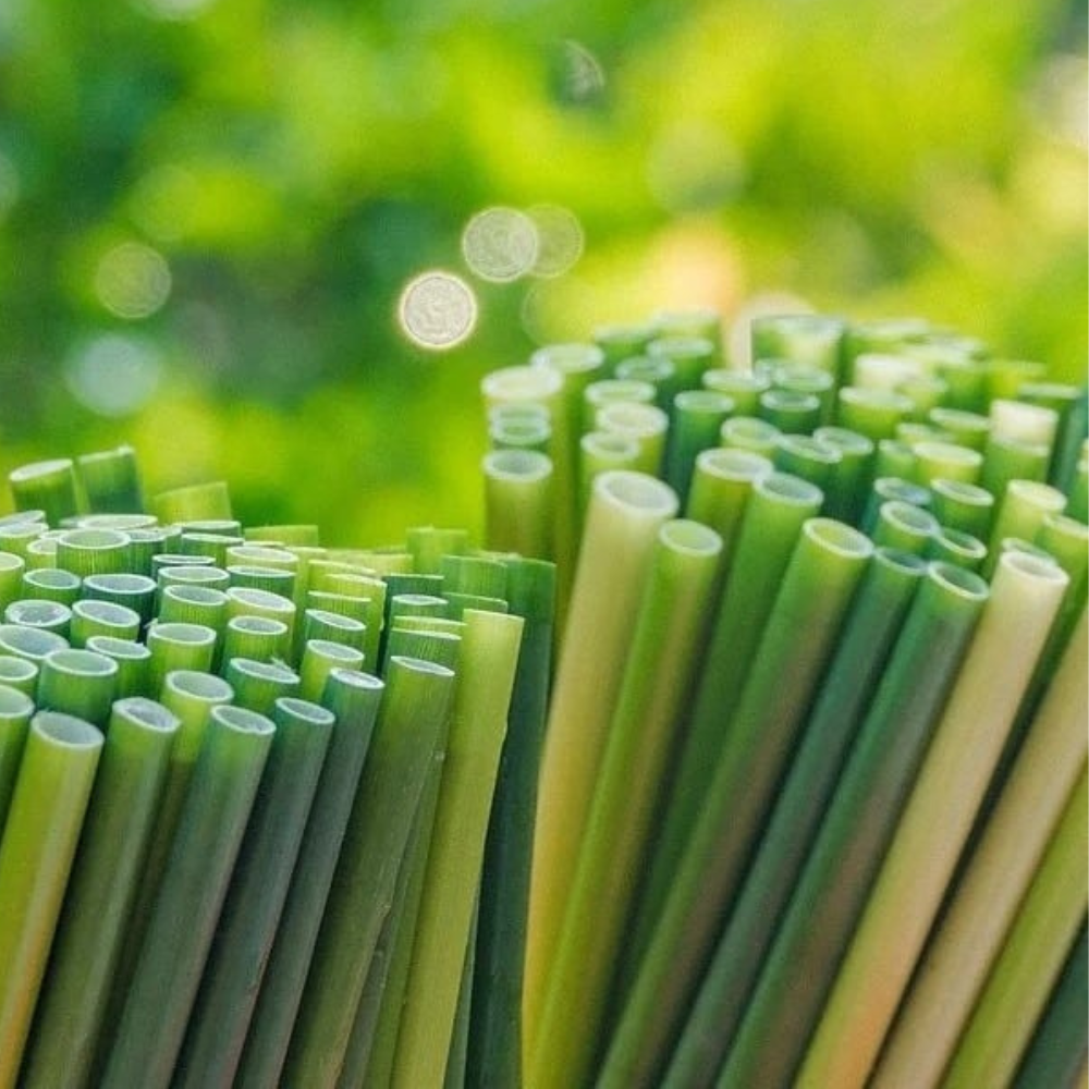 Seagrass Drink Straw