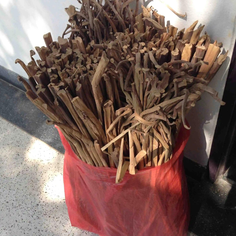 Water Hyacinth Dried Raw Material