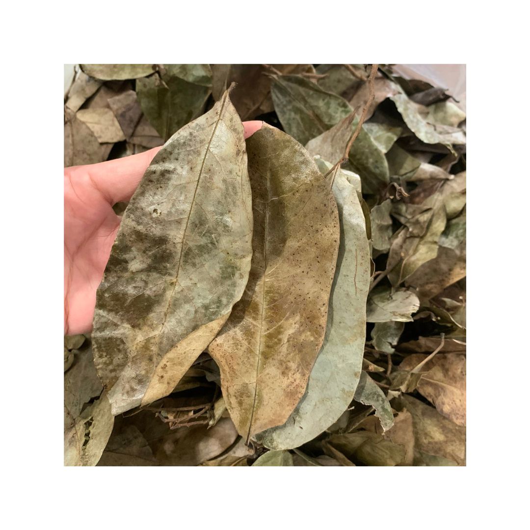 Dried Soursop Leaves