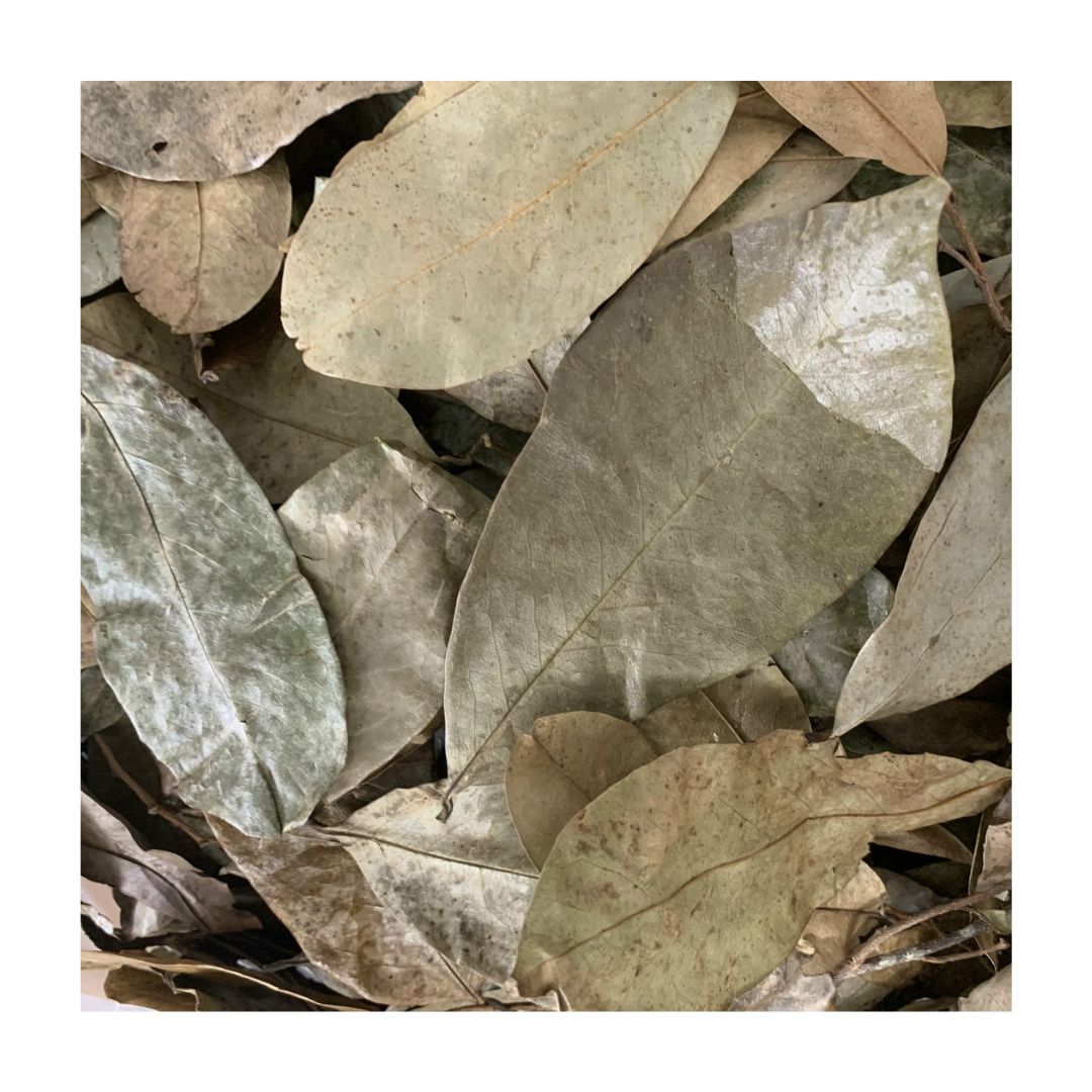 Dried Soursop Leaves