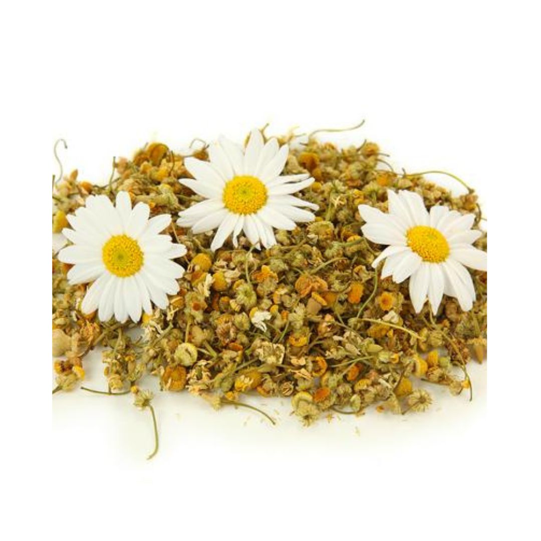 Dried Daisy Chamomile Flower