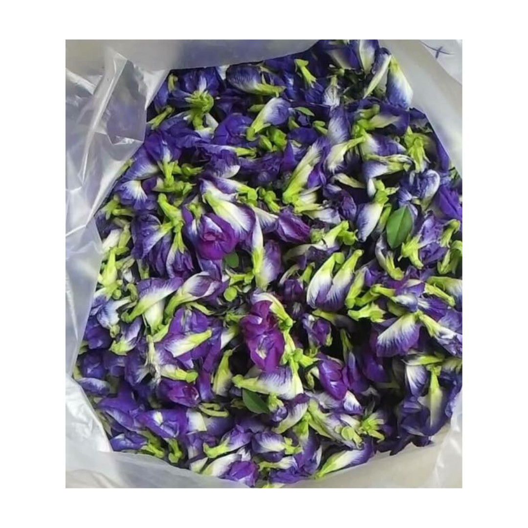 Dried Butterfly Pea Flower