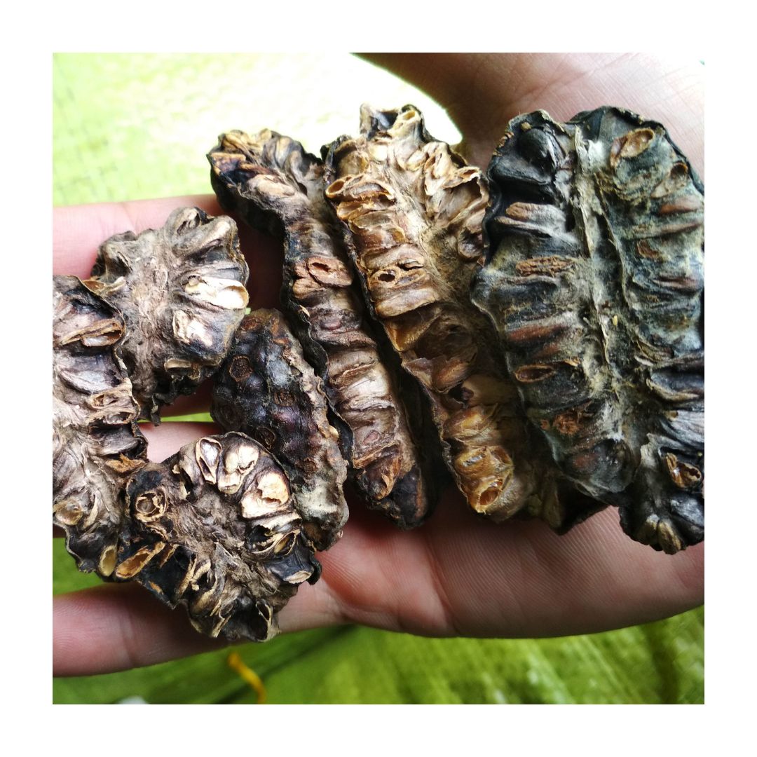 Dried Noni Fruit