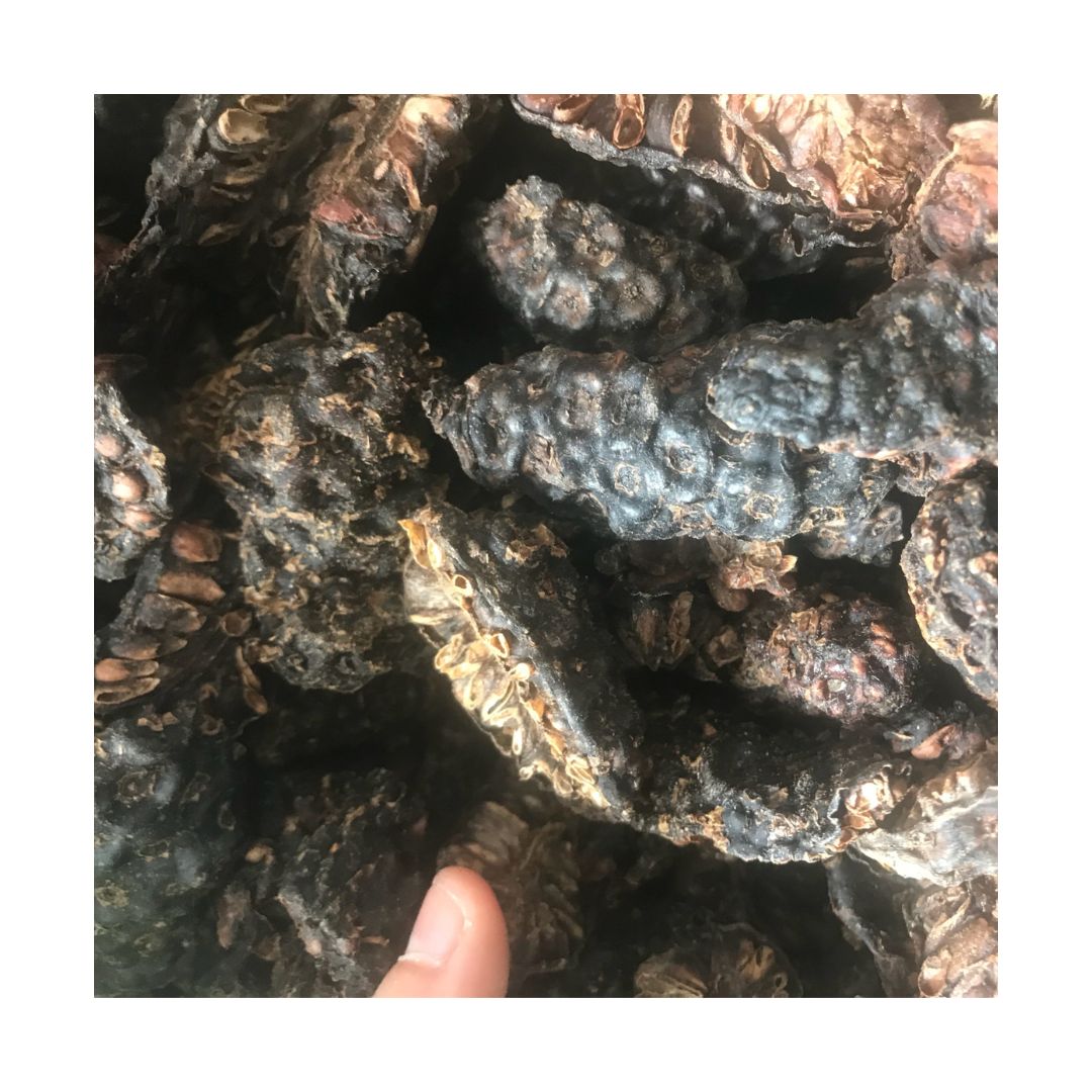 Dried Noni Fruit