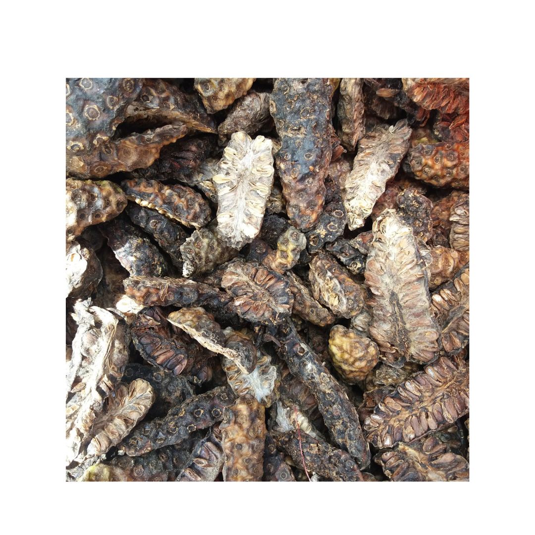 Dried Noni Fruit