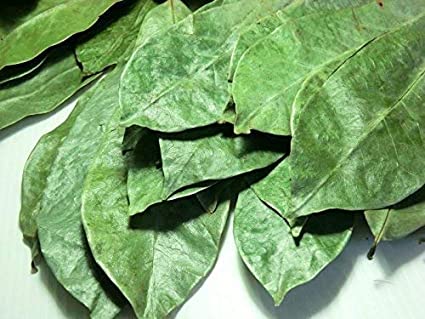 Dried Soursop Leaves