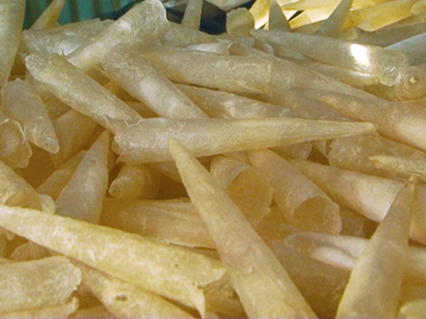 Dried Fish Maw