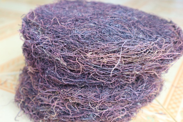 Dried Gracilaria Seaweed