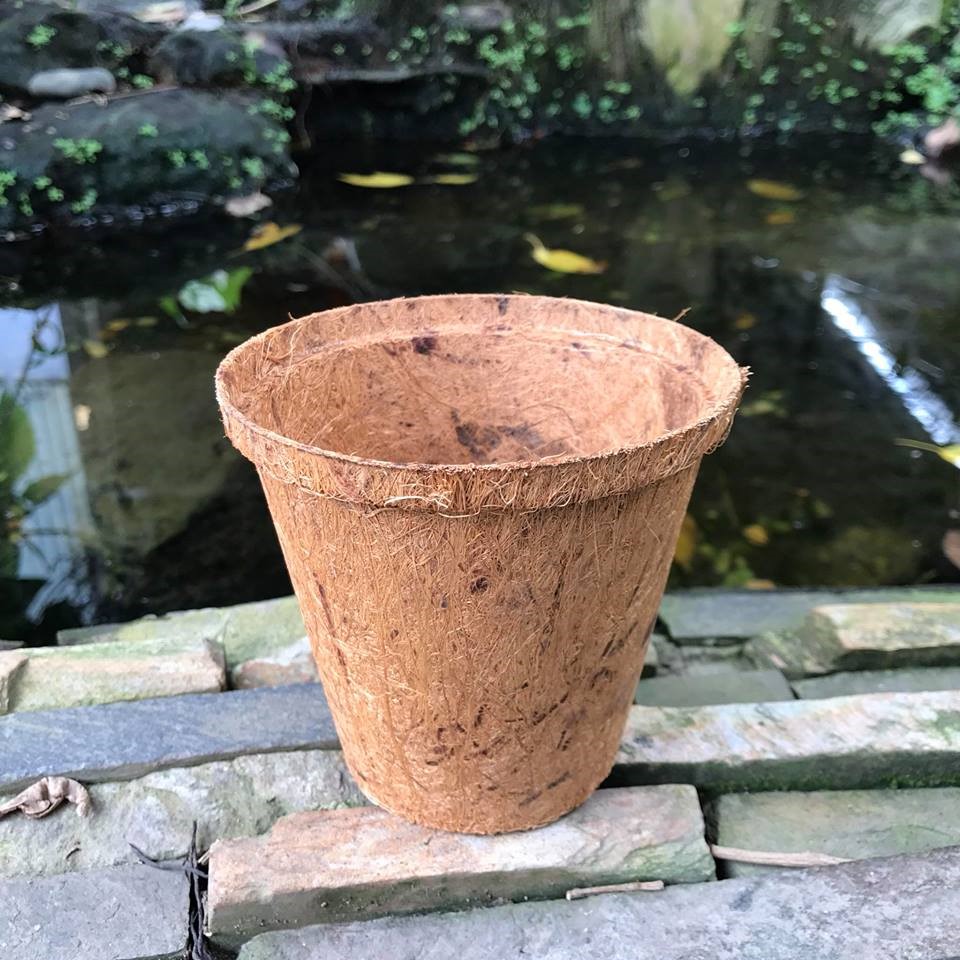 Coir Pot