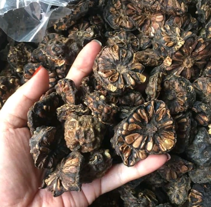 Dried Noni Fruit