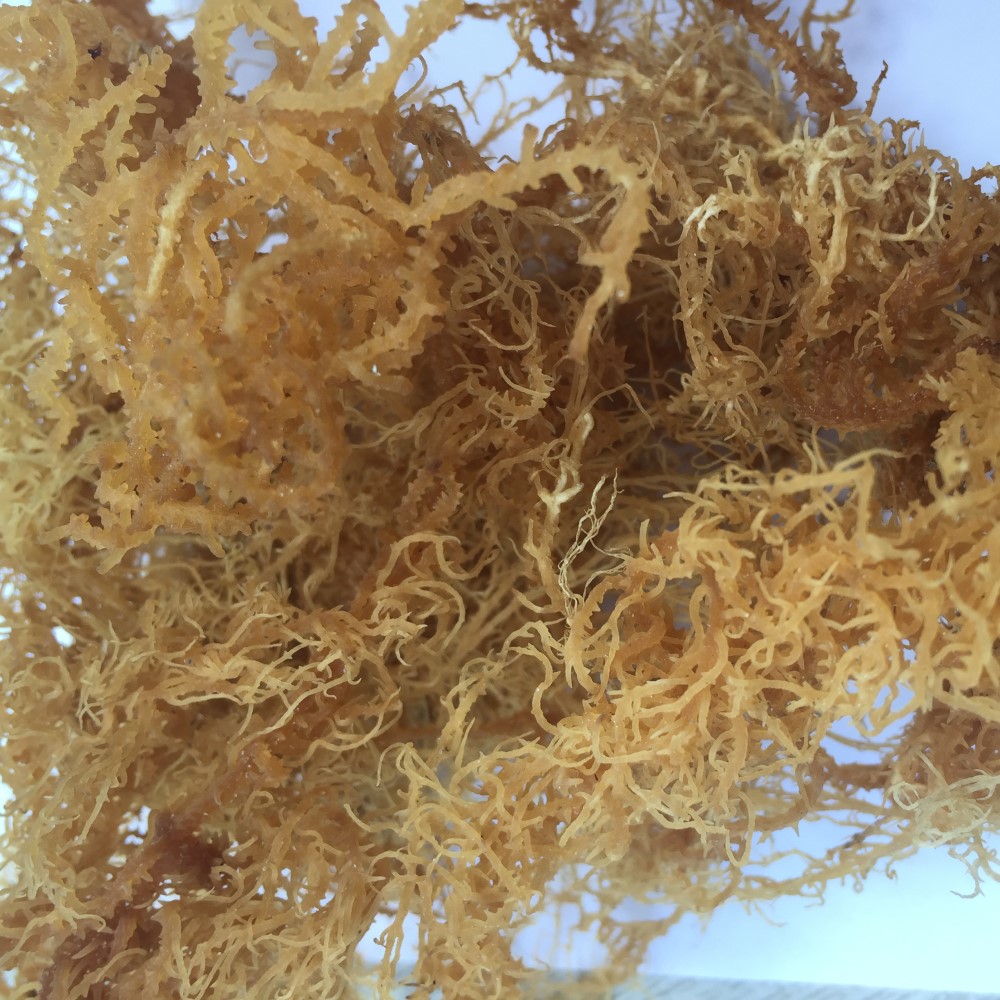 Dried Sea Moss No Salt