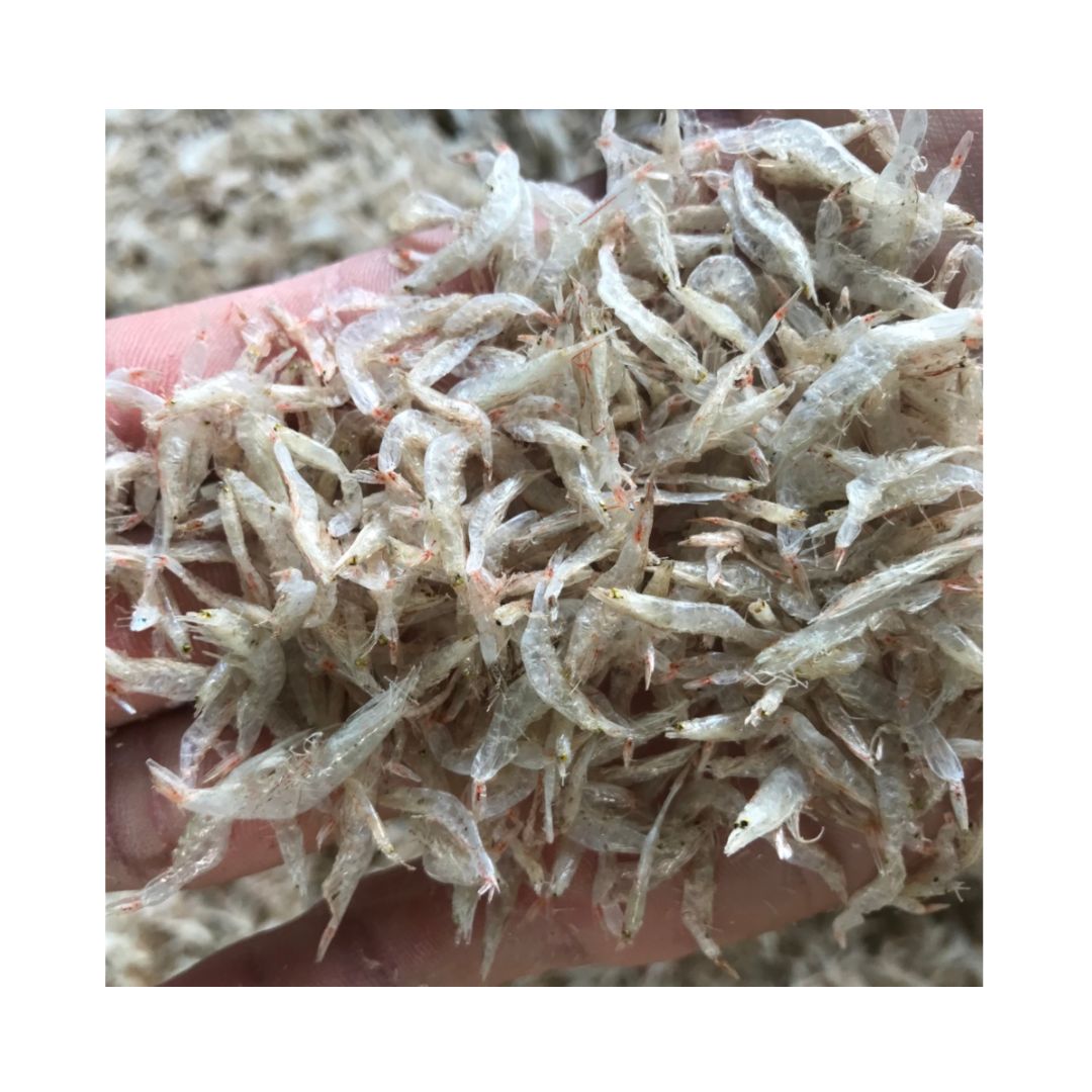 Dried Baby Shrimp