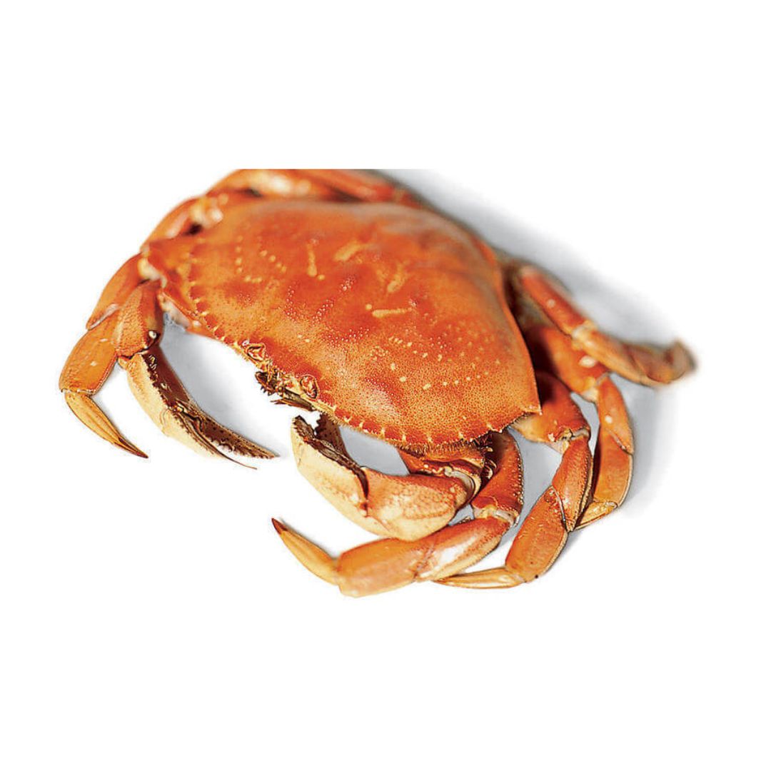 Crab Shell