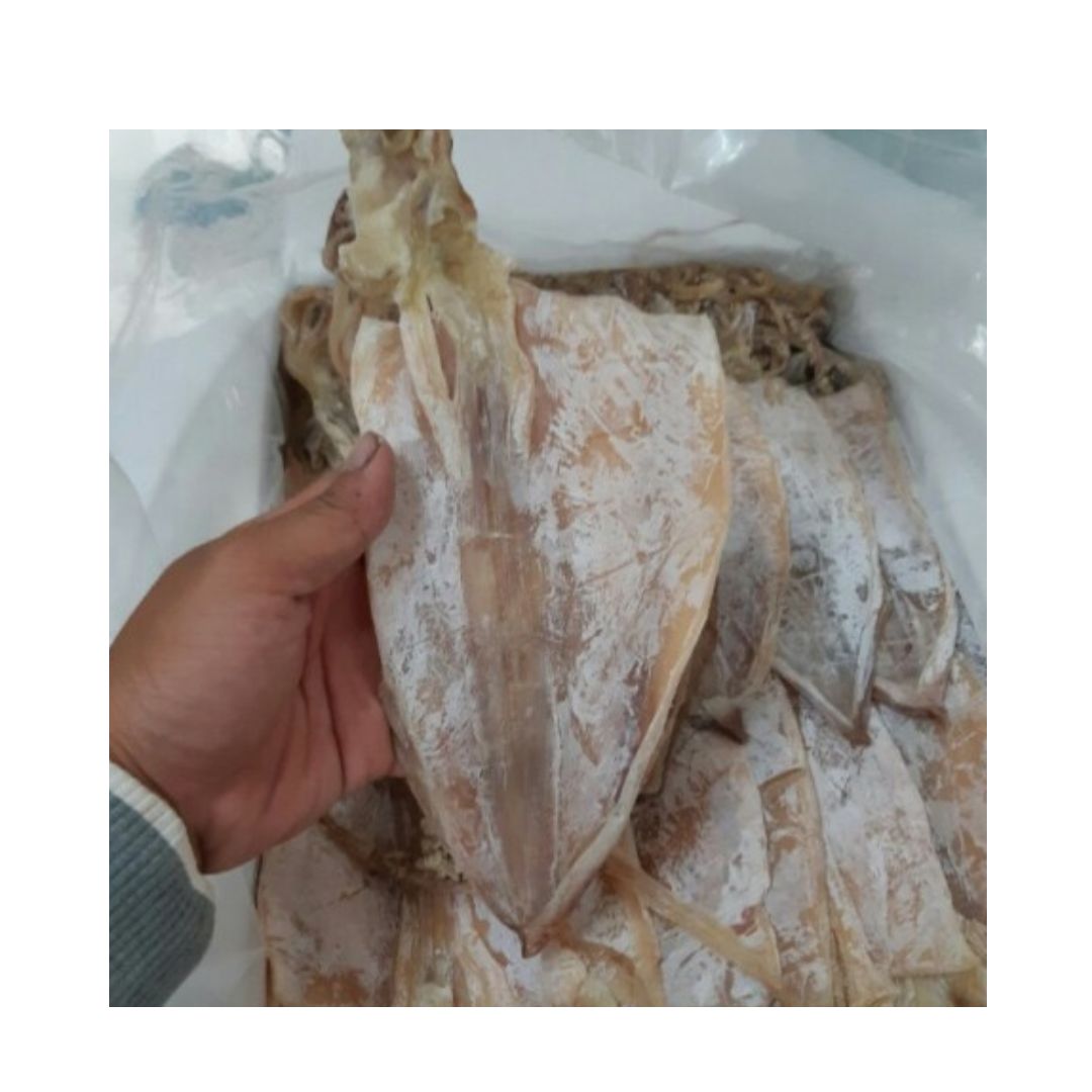 Dried Squid