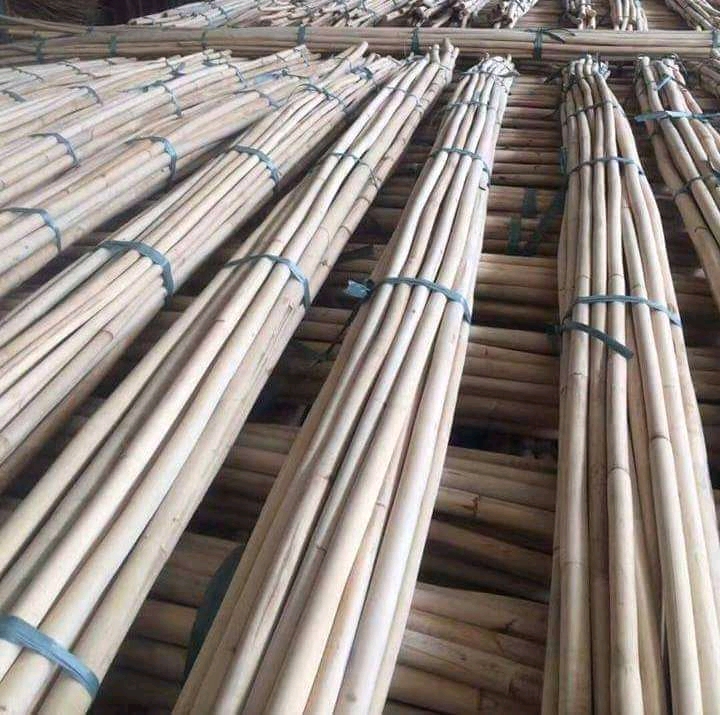 Rattan Cane