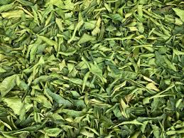 Makrut Lime Dried Leaves (Citrus hystrix)