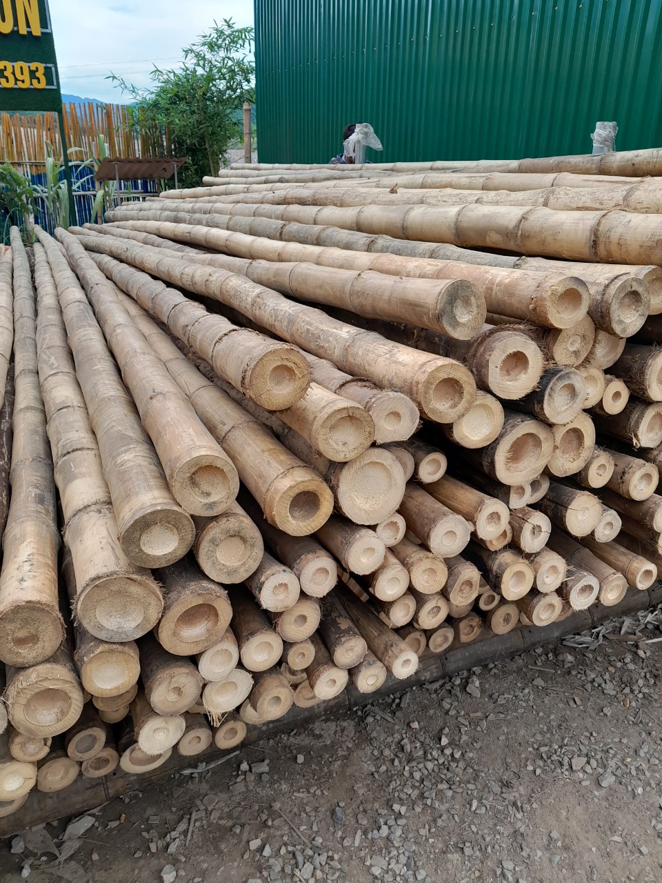 Bamboo Poles